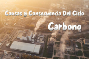 Causas y Consecuencias que afectan al Ciclo del Carbono